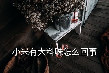 小米有大料味怎么回事