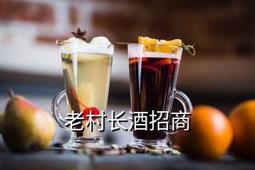 老村長(zhǎng)酒招商