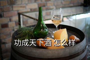 功成天下酒 怎么樣