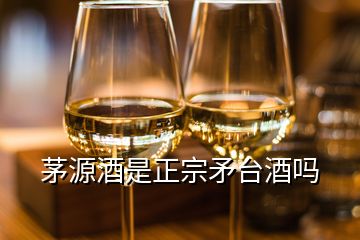 茅源酒是正宗矛臺酒嗎