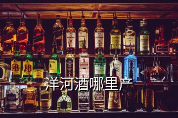 洋河酒哪里產(chǎn)