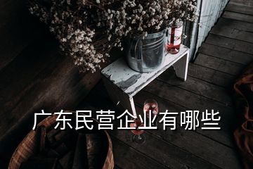 廣東民營(yíng)企業(yè)有哪些