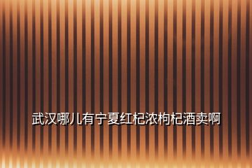 武漢哪兒有寧夏紅杞濃枸杞酒賣啊