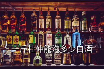 一斤杜仲能泡多少白酒