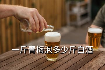 一斤青梅泡多少斤白酒