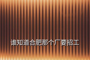 誰知道合肥那個(gè)廠要招工