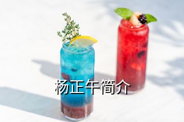 楊正午簡(jiǎn)介