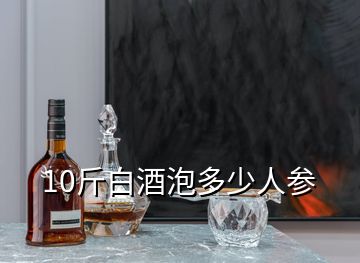 10斤白酒泡多少人參