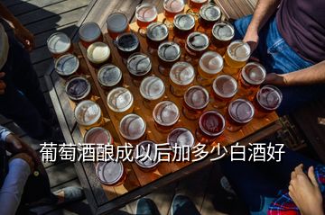 葡萄酒釀成以后加多少白酒好