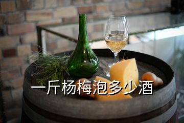 一斤楊梅泡多少酒