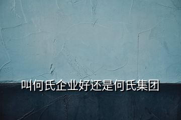 叫何氏企業(yè)好還是何氏集團(tuán)