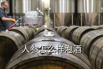 人參怎么樣泡酒