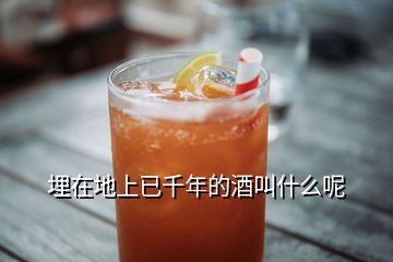 埋在地上已千年的酒叫什么呢