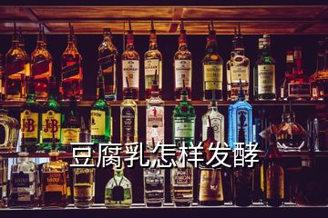 豆腐乳怎樣發(fā)酵