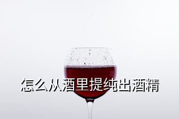 怎么從酒里提純出酒精