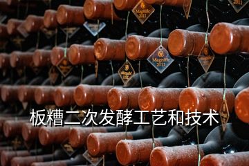 板糟二次發(fā)酵工藝和技術(shù)