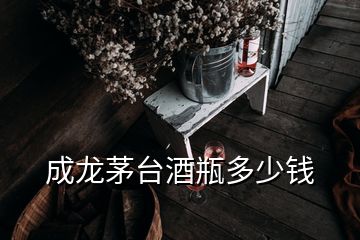 成龍茅臺(tái)酒瓶多少錢