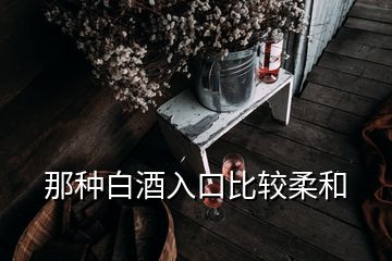 那種白酒入口比較柔和