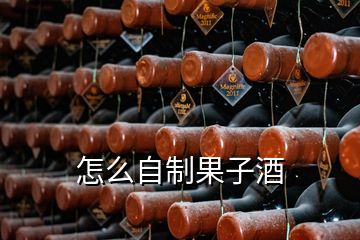 怎么自制果子酒