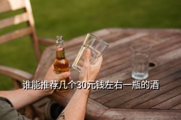 誰能推薦幾個(gè)30元錢左右一瓶的酒