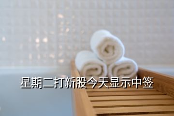 星期二打新股今天顯示中簽