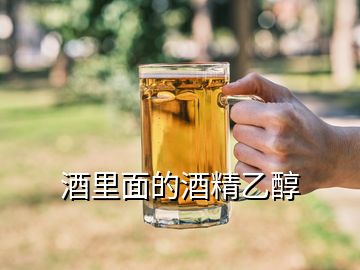 酒里面的酒精乙醇