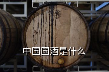 中國(guó)國(guó)酒是什么