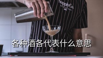 各種酒各代表什么意思