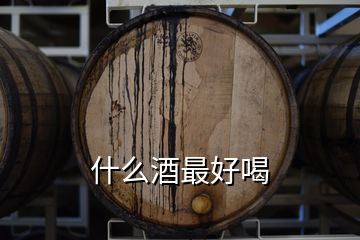 什么酒最好喝