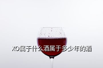 XO屬于什么酒屬于多少年的酒