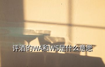 評(píng)酒的WA和WS是什么意思