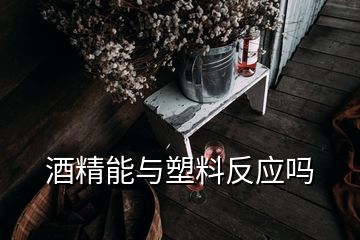 酒精能與塑料反應嗎