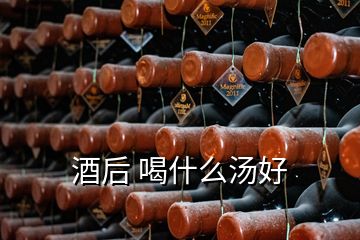 酒后 喝什么湯好