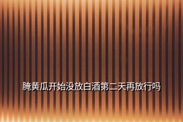 腌黃瓜開始沒放白酒第二天再放行嗎