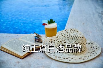 純正點(diǎn)白酒品牌