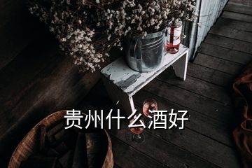 貴州什么酒好