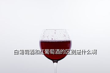 白葡萄酒和紅葡萄酒的區(qū)別是什么啊