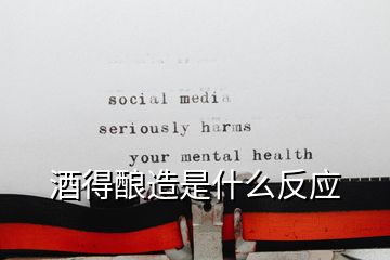 酒得釀造是什么反應(yīng)