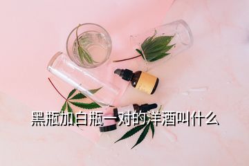 黑瓶加白瓶一對(duì)的洋酒叫什么