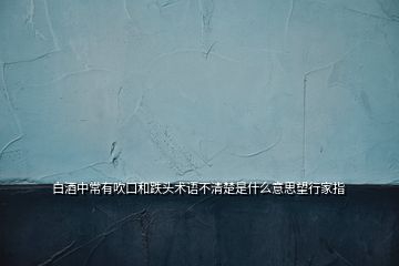 白酒中常有吹口和跌頭術(shù)語不清楚是什么意思望行家指