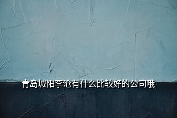 青島城陽李滄有什么比較好的公司哦