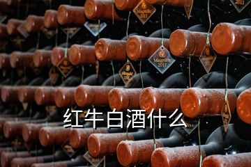 紅牛白酒什么