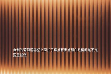 自制的葡萄酒器壁上面長了霉點有黑點和白毛請問是不是要重新做