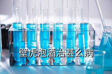 壁虎泡酒治甚么病