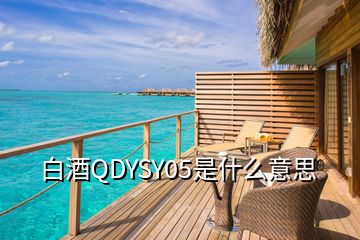 白酒QDYSY05是什么意思