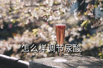 怎么樣調(diào)節(jié)尿酸