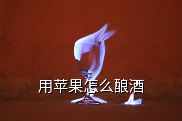 用蘋(píng)果怎么釀酒