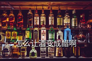 怎么讓酒變成醋啊