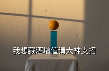 我想藏酒增值請大神支招