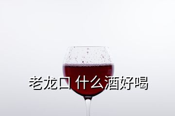 老龍口 什么酒好喝